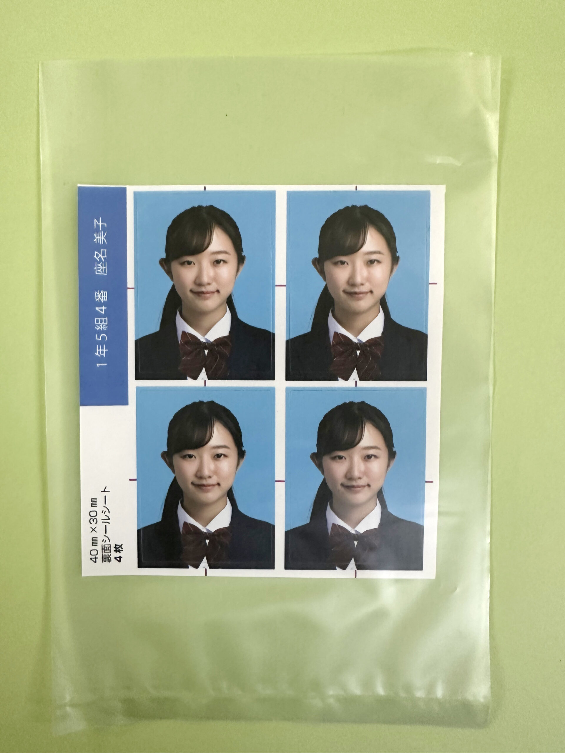 ショーレックス梱包